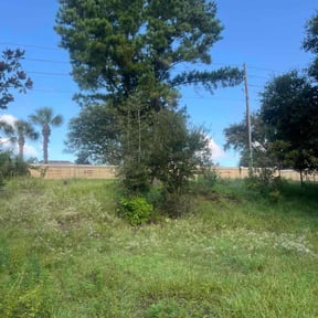 Cleanups by Landscape &amp; Mowing reviewed on July 30, 2025