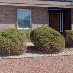 Bush Trimming by A+ Lamonds lawn&landscape reviewed on August 19, 2025