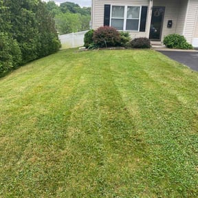 lawn care by Marvin&#039;s Services LLC reviewed on April 30, 2024