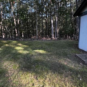 Leaf Removal by Season To Season  reviewed on May 7, 2024