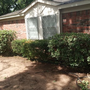 Bush Trimming by Vintage Lawn Care reviewed on August 16, 2025