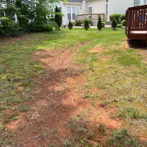 Leaf Removal by Lawn pros. reviewed on September 19, 2025