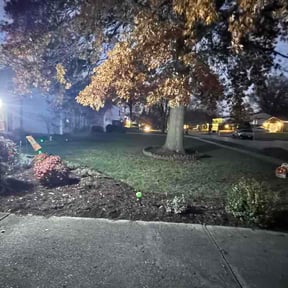 Leaf Removal by Fresh cut Lawncare Pros reviewed on April 26, 2026