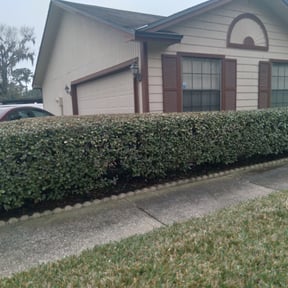 Bush Trimming by Integrity Lawn Care reviewed on August 19, 2025