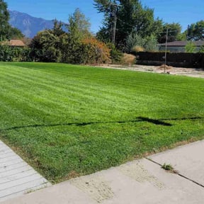 yard maintenance by SLC Groundskeepers reviewed on August 15, 2025