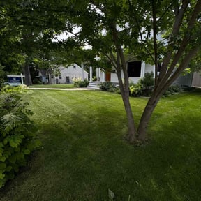 lawn care services by Procare Lawns reviewed on August 21, 2025