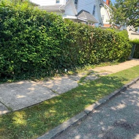 lawn care by R&M Mow and Go reviewed on August 11, 2024