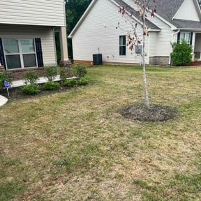 Bush Trimming by Marsha's Lawn Care & Snow Removal Services reviewed on August 20, 2025