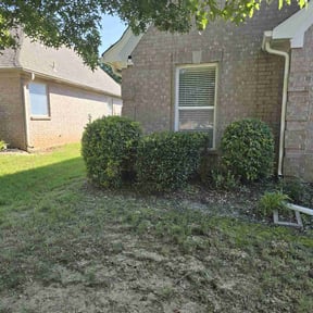 Bush Trimming by Kevreks Lawncare Service’s reviewed on August 16, 2025