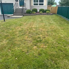 Bush Trimming by VickyG services reviewed on August 21, 2025