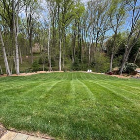 yard maintenance by Mike G's Cuts4Less reviewed on March 20, 2024