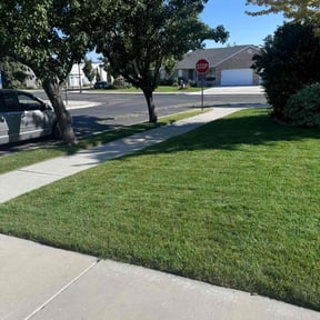 landscaping by Aaron's Lawn Care reviewed on August 15, 2025