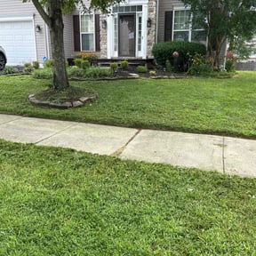 residential landscaping by TwinEagleLandscaping reviewed on August 21, 2025