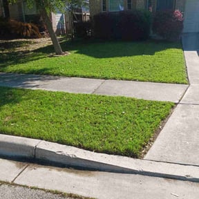 turf maintenance by Nate's Scapes reviewed on March 14, 2024