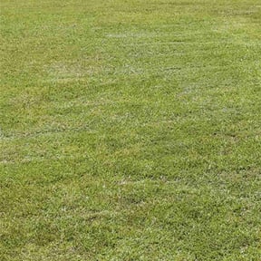 yard care by AAT Field Services reviewed on August 16, 2025