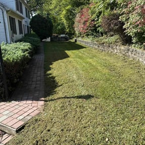 lawn care services by AC LAWNCARE reviewed on June 4, 2024