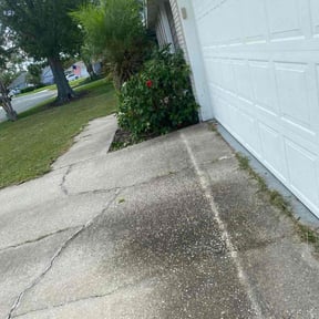 Bush Trimming by 5 Star Lawns reviewed on November 23, 2025