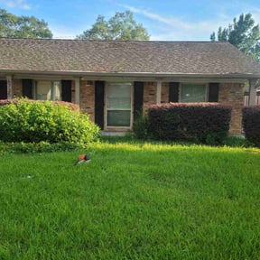 Bush Trimming by Billy Klipps Lawn Care reviewed on August 15, 2025