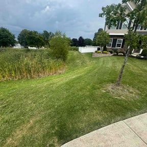 lawn maintenance by Clean The Green Lawncare reviewed on August 13, 2024