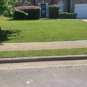 yard maintenance by TENNESSEE SHARPEST LAWNS reviewed on August 19, 2025