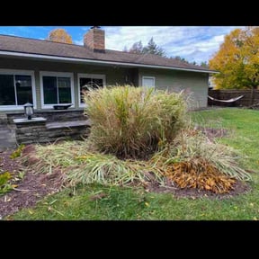 Bush Trimming by J&M Landscaping reviewed on August 16, 2025