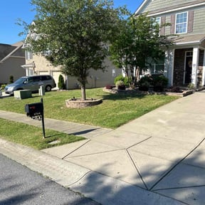 yard maintenance by Mark Grammer reviewed on August 16, 2025