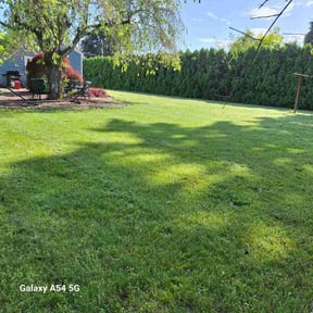 yard care by Rocky Top Lawn reviewed on August 18, 2025