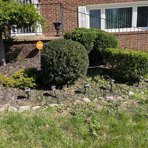 Bush Trimming by Juan Rubio Landscaping reviewed on April 11, 2026