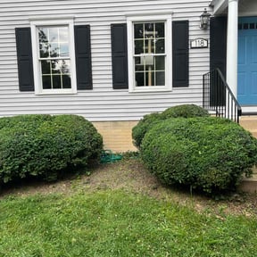 Bush Trimming by Turfscapes reviewed on August 16, 2025