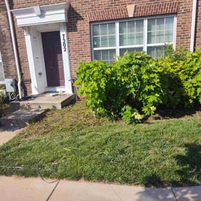 Flower Bed Weeding by Rodriguez Gardening reviewed on August 14, 2025