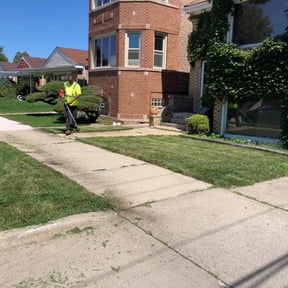 Bush Trimming by Charleston Green Team LLC. reviewed on August 21, 2025