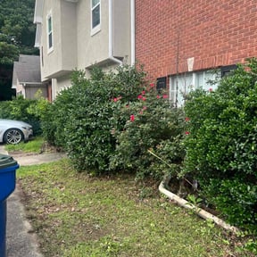 Bush Trimming by 12kids&i landscaping reviewed on August 16, 2025