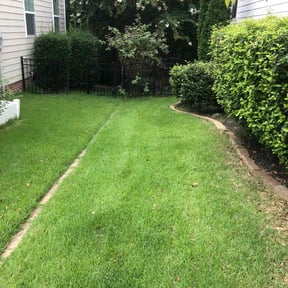 landscape maintenance by Shawn Schatzabel reviewed on August 18, 2025