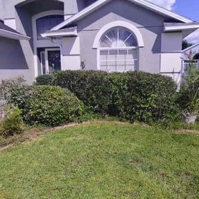 Bush Trimming by Empire Lawn Care &amp; Tree Trimming reviewed on November 10, 2025