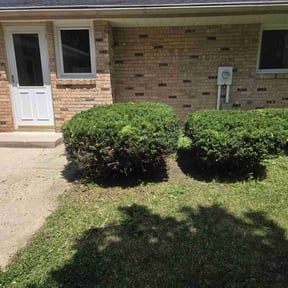 Bush Trimming by Cre8tive Art's Work LLC Lawn Care & Property Preservation reviewed on August 20, 2025
