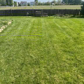 grass cutting by D & C lawn care reviewed on August 8, 2023