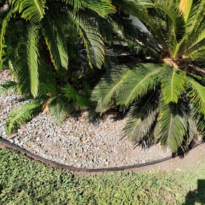 Flower Bed Weeding by Lawn Me Up Landscape reviewed on August 19, 2025