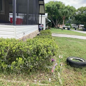 Bush Trimming by Rios Enterprise Lawn Mowing Services LLC reviewed on August 17, 2025