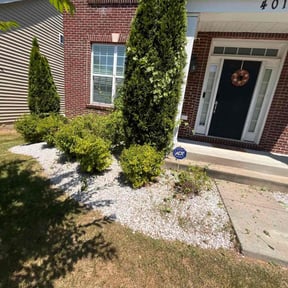 Bush Trimming by Greenscapes Landscaping and Grass Cutting reviewed on August 20, 2025