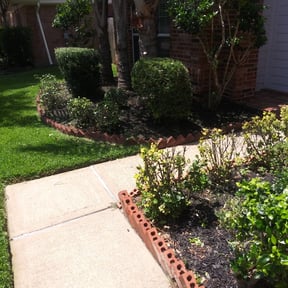Bush Trimming by JJ Yard Mulching Co. reviewed on August 17, 2025