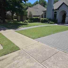 landscaping by All Around Landscaping reviewed on November 22, 2025