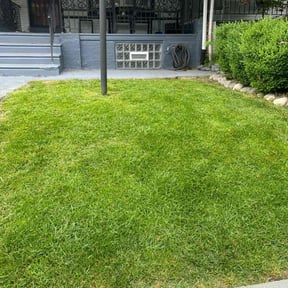 yard maintenance by Chris Lippens Home Services, LLC reviewed on August 15, 2025