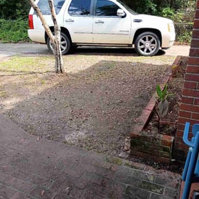 Leaf Removal by Starview Lawncare reviewed on May 13, 2026
