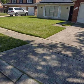 yard work by Michael Schmidt reviewed on August 17, 2025