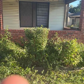 Bush Trimming by Tim&#039;s lawn service reviewed on November 22, 2025