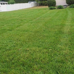 turf care by Yard Barber reviewed on June 10, 2025