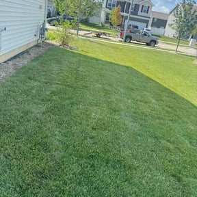 turf care by Cutz and Dumpz reviewed on August 21, 2025