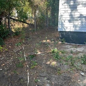 Leaf Removal by Baldwin Premium Lawn Care reviewed on October 19, 2025