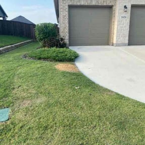 Bush Trimming by Wiley&#039;s top notch lawncare reviewed on October 24, 2025