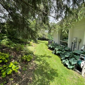 yard maintenance by Quality Cuts Lawn Care & Landscaping reviewed on August 16, 2025
